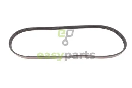 Ремінь генератора Renault Kangoo 1.2i 01- (-AC)/Fiat Scudo 1.6i (+AC) DAYCO 4PK905