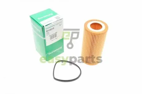 Фільтр масляний Audi A3/A4/A6/Q3/VW Golf V/VI/Passat 2.0 FSI 04-15 BORSEHUNG B12815