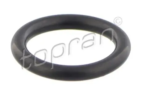 N903 168 02 O-сальнiк датчiкiв temp. (19,6x3,65) VAG TOPRAN / HANS PRIES 104529 (фото 1)