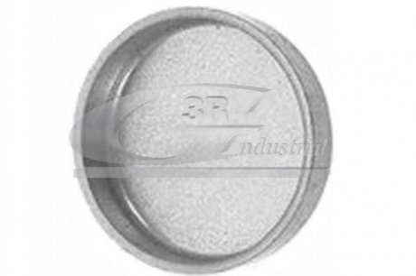 Заглушка ГБЦ 25,2mm 3RG 84018