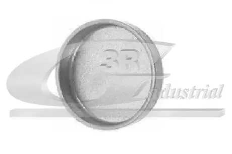 Заглушка ГБЦ 21mm 3RG 84013
