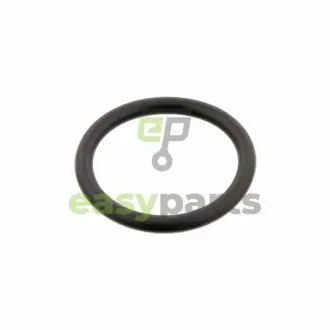 Прокладка системи охолодження ущільнююча VW Crafter/Caddy/Golf/Passat 97- FEBI BILSTEIN 29752