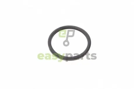 Прокладка термостата Renault Trafic II 2.0 01- RENAULT / DACIA 8200267272