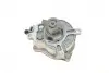 Насос вакуумний VW Jetta 2.5 06-/Audi TT 2.5RS 09-14 (OE VAG) BORSEHUNG B18774 (фото 10)