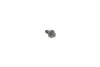 Болт (M7x17.3mm) 3 (E90-E93/F31)/5 (E60/F10/F11)/X3 (E83/E25)/X5 (F15/25) 04- N47 BMW 11317797516 (фото 1)