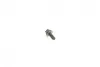 Болт (M7x17.3mm) 3 (E90-E93/F31)/5 (E60/F10/F11)/X3 (E83/E25)/X5 (F15/25) 04- N47 BMW 11317797516 (фото 3)