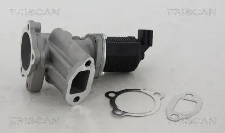 Клапан рециркуляции отработанных газов Fiat 500, Doblo, Idea, Panda, Punto, Lancia, Opel Combo, Corsa, Suzuki Wagon 1.3 03- TRISCAN 881324012