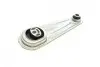 Подушка двигуна (задня) Renault Megane II/Kangoo 1.4-1.6/1.5 dCi 02- (косточка) RENAULT / DACIA 112383665R (фото 1)