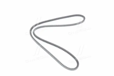 Ремінь кліновий 10A1350GL DEUTZ FAHR DX, FENDT 300, 500, F, FIAT 1000, NEW HOLLAND 1000, MAN RIDER RD 10A1350VS (фото 1)