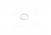 Кольцо уплотнительное натяжителя цепи Kyron, Actyon (Sports 2012), Korando, Rexton SSANGYONG 007603022100 (фото 1)