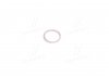 Кольцо уплотнительное натяжителя цепи Kyron, Actyon (Sports 2012), Korando, Rexton SSANGYONG 007603022100 (фото 2)