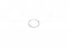 Кольцо уплотнительное натяжителя цепи Kyron, Actyon (Sports 2012), Korando, Rexton SSANGYONG 007603022100 (фото 4)