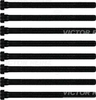 Болти головки (к-кт 8шт.) Audi A4/A5/A6/A8/Q7/Skoda Superb/VW Passat/Touareg 2.5-3.0TDI 00- VICTOR REINZ 14-32196-01