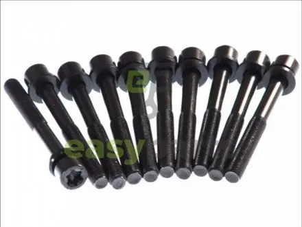 Болти головки (к-кт 10шт.) Opel Astra F/G/H/Omega B 1.8-2.2 16 V 91-03 (M11x1.25x105) ELRING 803.010