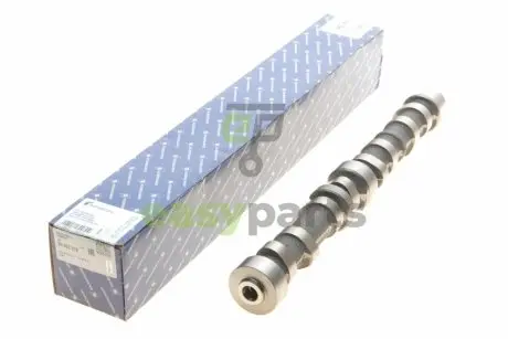 Розподільний вал Fiat Doblo 1.3 JTD Multijet 04- (впуск) KOLBENSCHMIDT 50007572