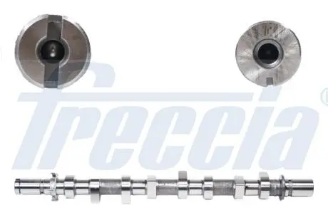 Розподільчий вал Dacia Duster/Logan/Sandero/Renault Clio/Scenic III/Kangoo/Megane 1.5 Dci 04- FRECCIA CM05-2185
