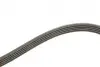 Комплект ременя генератора Renault Kangoo 1.4i/1.6i 97- Gates K015PK1113 (фото 4)