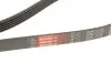 Комплект ременя генератора Renault Kangoo 1.4i/1.6i 97- Gates K015PK1113 (фото 6)