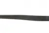 Комплект ременя генератора VW Caddy/Golf/Passat/Skoda Octavia/Superb 1.9/2.0TDI 04-11 Gates K016PK1053 (фото 2)