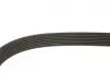 Комплект ременя генератора Renault Trafic 2.0DCI 06- (7PK1685) Gates K017PK1685 (фото 4)
