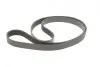 Комплект ременя генератора Renault Megane II/III 2.0 dCi 05- (7PK1705) Gates K017PK1705 (фото 4)