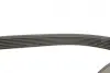 Комплект ременя генератора Renault Megane II/III 2.0 dCi 05- (7PK1705) Gates K017PK1705 (фото 5)