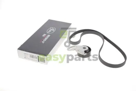 Комплект ременя генератора Renault Kangoo 1.5 dCi 01- (5PK1133) Gates K025PK1133