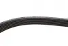 Комплект ременя генератора VW T5 1.9 TDI 03-09 (6DPK1195) Gates K026DPK1195 (фото 3)