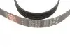 Комплект ременя генератора Hyundai Elantra III/Santa Fe I-II/Sonata V 2.0D/2.2D 01- (6PK1513) Gates K026PK1513 (фото 5)