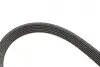 Комплект ременя генератора Skoda Octavia/VW Golf IV 1.4/1.6 16V 96-10 (6PK1548) Gates K026PK1548 (фото 8)