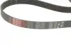 Комплект ременя генератора Audi A2/Seat Ibiza/Skoda Fabia/VW Golf/Polo 1.4/1.6/1.6FSI 97-15 (6PK1078) Gates K036PK1078 (фото 4)
