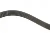 Комплект ременя генератора Audi A2/Seat Ibiza/Skoda Fabia/VW Golf/Polo 1.4/1.6/1.6FSI 97-15 (6PK1078) Gates K036PK1078 (фото 5)