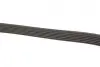 Комплект ременя генератора Chevrolet Aveo/Lacetti 1.4-1.6 03- Gates K036PK1873 (фото 7)