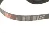 Комплект ременя генератора Audi A3/Seat Leon/Skoda Octavia/VW Caddy/Passat B6 1.6-2.0 03- Gates K046PK1043 (фото 4)