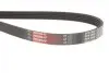 Комплект ременя генератора Opel Astra G/H/Corsa D/E/Meriva A/Vectra C 1.6-1.8 00- Gates K055PK1545 (фото 6)