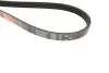 Комплект ременя генератора Hyundai Elantra/Tucson/I30/Kia Ceed 2.0 04- (4PK890/4PK855) Gates K074PK890 (фото 12)