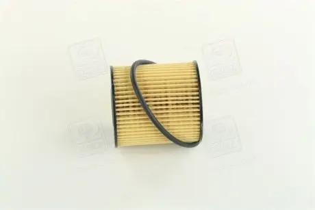 Фільтр масляний Fiat/Ford/PSA 2.0JTD/2.0HDI/2.0TDCI 04- ASHIKA 10-ECO060