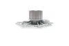 Комплект ГРМ + помпа Volvo C70/S60/S80/V60/V70/XC70/XC90 2.0-2.4D 01- (28x132z) Contitech CT1010WP1 (фото 33)