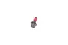 Комплект ГРМ + помпа Volvo C70/S60/S80/V60/V70/XC70/XC90 2.0-2.4D 01- (28x132z) Contitech CT1010WP1 (фото 38)