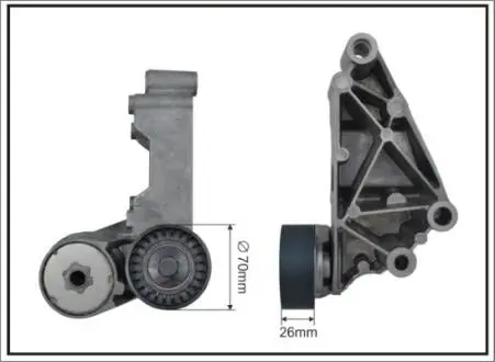 Натяжитель поликлинового пояса Ford Focus, Tourneo/Transit Connect 1.8TDCi/DI/TDDi 10.98- CAFFARO 100188SP