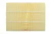 Фільтр повітряний Lexus LX/Toyota Land Cruiser/Sequoia/Tundra 4.7 V8 98-07/Hilux 3.4 02-05 (з сіткою) ALPHA FILTER AF1729s (фото 4)
