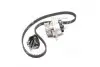 Ремкомплекты привода ГРМ автомобилей с водяным насосом PowerGrip Kit Gates KP25427XS (фото 2)