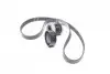 К-кт паска поліклинового Renault Kango, Captur, Megane III, Fluence 1,5DCi, 09- RENAULT / DACIA 117202339R (фото 1)