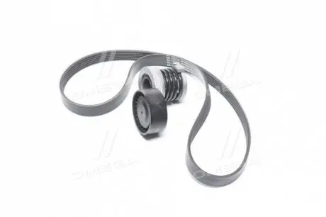 К-кт паска поліклинового Renault Kango, Captur, Megane III, Fluence 1,5DCi, 09- RENAULT / DACIA 117202339R