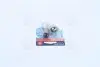 Автолампа P21/5W 12V 21/5W BAY15d 2шт в блiстерi OSRAM 752802B (фото 2)