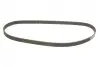 Комплект ГРМ Opel Omega B 2.2 16V 99-03 Gates K025461XS (фото 9)
