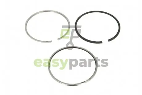 Кільця поршневі VW T5/Touareg 2.5TDI 03-10 (81.01mm/STD) KOLBENSCHMIDT 800077410000
