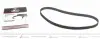 Ремінь ГРМ Ford Fiesta/Focus 1.4i/1.6 16V (117z) 98- 5433XS