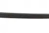 Ремінь генератора Mazda 626 1.8-2.2 86-96/Opel Kadett 1.6 86-94/Ford Escort 1.8D 88-95 (5PK1010) BOSCH 1 987 947 921 (фото 5)