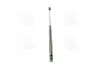 Газовий амортизатор (GAS SPRING) MITSUBISHI SPACE STAR (DG0) 06/98- TAILGATE - MINIVAN [] MAGNETI MARELLI 430719034900 (фото 2)